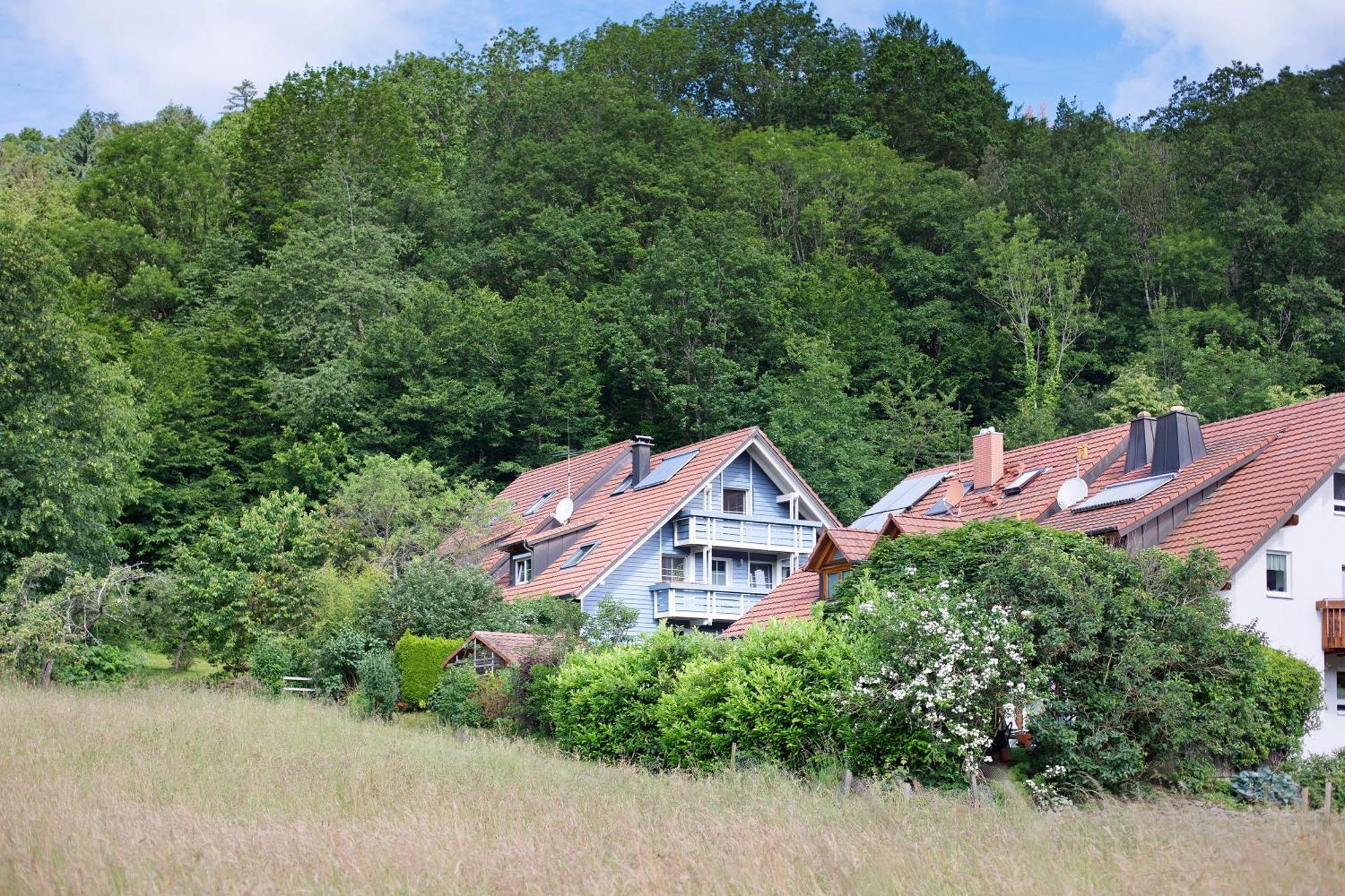 Ferienwohnung Zur Schauinslandbahn Horben المظهر الخارجي الصورة